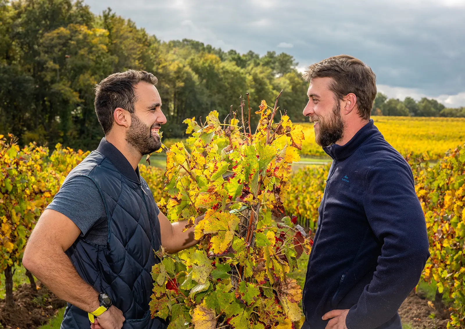 Rémi et Grégoire dans les vignes